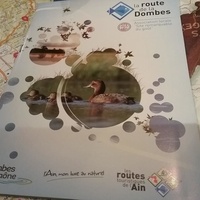 Chambres d'hôtes du Palais - Les amoureux de la nature